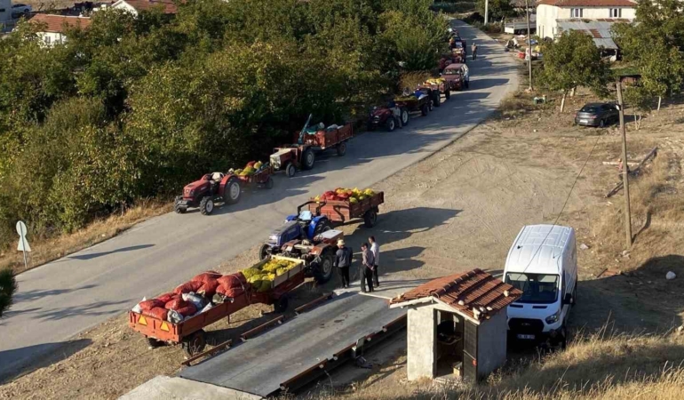 Taze ceviz toptan 25 liraya satılıyor