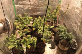 “Tehdit ve hakaret” suçundan aranan firari uyuşturucu operasyonunda yakalandı