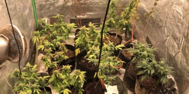 “Tehdit ve hakaret” suçundan aranan firari uyuşturucu operasyonunda yakalandı