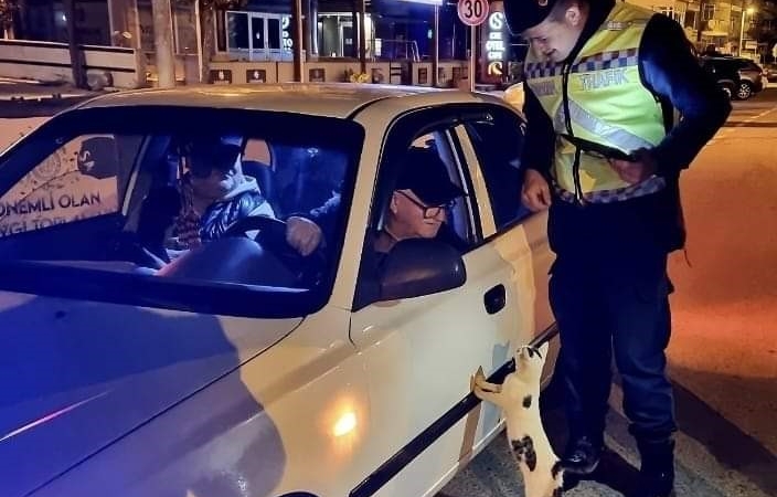 Tekirdağ’da denetim sırasında araca tırmanan kedi gülümsetti: "Ehliyet, ruhsat tamam ama mamayı unuttun"