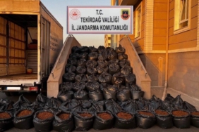 Tekirdağ’da tonlarca tütün ele geçirildi