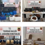 Tekirdağ’da ’Türkiye Duman Uygulaması’nda 13 kişi yakalandı