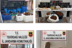 Tekirdağ’da ’Türkiye Duman Uygulaması’nda 13 kişi yakalandı