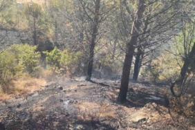 Zeytinlik alanda çıkan yangına havadan ve karadan müdahale edildi