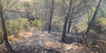 Zeytinlik alanda çıkan yangına havadan ve karadan müdahale edildi