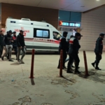 11 kaçak göçmen jandarmadan kaçamadı