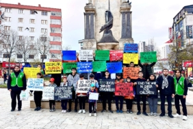 WhatsApp Görsel 2024-11-20 saat 21.01.29_3716ea96