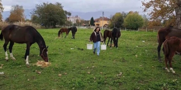 At sevgisiyle başlayan hobi hipodromda devam ediyor: Kurduğu tesiste yarış atı üretiyor