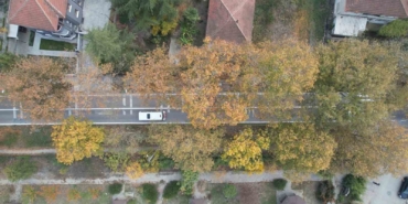 Ata yadigarı Çınarlı Hıyaban her mevsim ayrı güzel