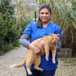 Ataşehir’de 7 ayda 7 bine yakın hayvan tedavi edildi