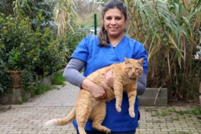 Ataşehir’de 7 ayda 7 bine yakın hayvan tedavi edildi