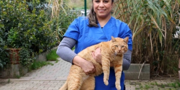 Ataşehir’de 7 ayda 7 bine yakın hayvan tedavi edildi