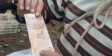 Bahçeden hurma toplayıp parasını poşet içinde ağaca astı