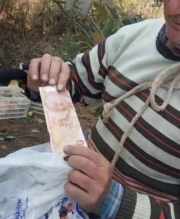 Bahçeden hurma toplayıp parasını poşet içinde ağaca astı