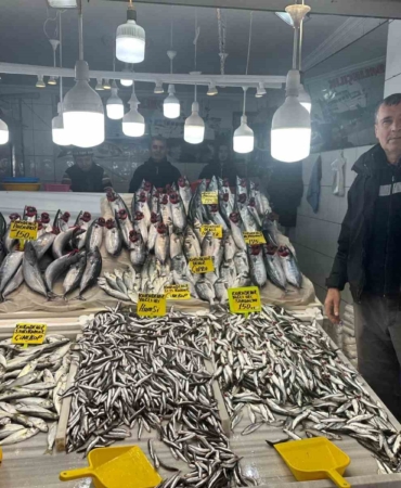Balık tezgahlarında Hamsi, Çinekop ve Palamut bolluğu