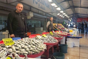 Balık tezgahlarında palamut yerini hamsi, istavrit ve çinekopa bırakıyor