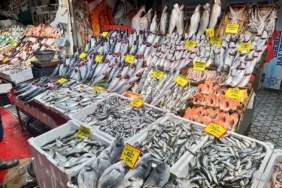 Balık tezgahlarında palamut yerini hamsi ve çinekop bıraktı