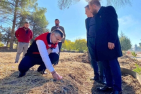 Balıkesir’de Safran ve Salep Üretimi Denemeleri Başladı