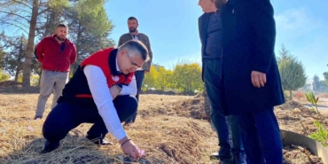 Balıkesir’de Safran ve Salep Üretimi Denemeleri Başladı