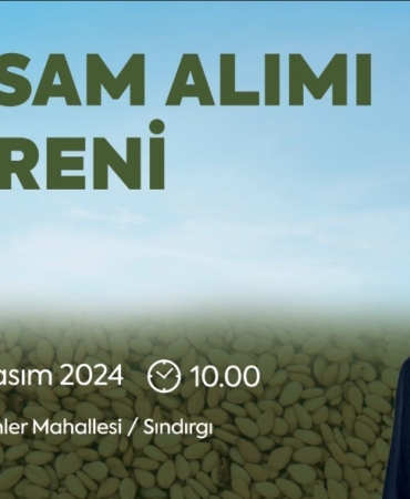 Bamyadan sonra sıra susamda