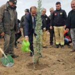 Bandırma’da yanan alanda 750 çam fidanı toprakla buluştu