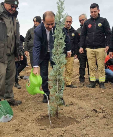 Bandırma’da yanan alanda 750 çam fidanı toprakla buluştu
