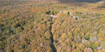 Belgrad Ormanı sonbahar renklerine büründü