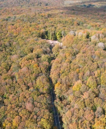 Belgrad Ormanı sonbahar renklerine büründü