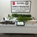 Beylikdüzü’nde uyuşturucu serasına çevrilen eve baskın: 1 gözaltı