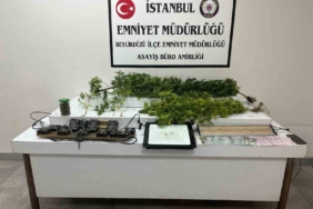 Beylikdüzü’nde uyuşturucu serasına çevrilen eve baskın: 1 gözaltı