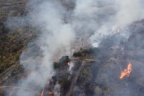 Biga’da orman yangını