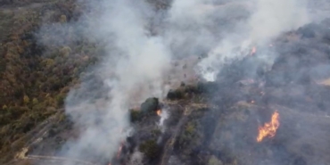 Biga’da orman yangını