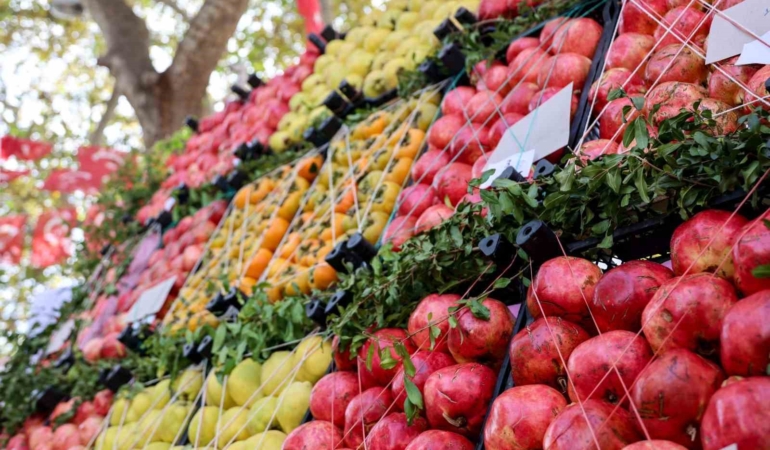 Bilecik nar üretiminde Türkiye’de 16’ncı sırada
