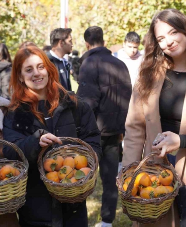 Bilecik’te 6 yıl önce deneme amaçlı dikilen hurma fideleri ilk meyvelerini verdi