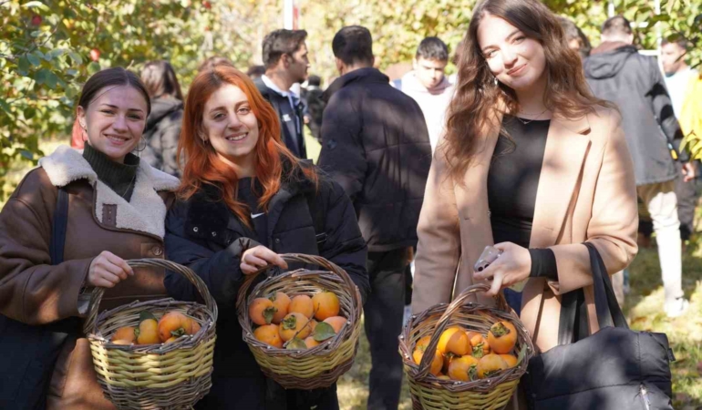 Bilecik’te 6 yıl önce deneme amaçlı dikilen hurma fideleri ilk meyvelerini verdi