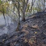 Bilecik’te orman yangını kontrol altına alındı