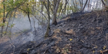 Bilecik’te orman yangını kontrol altına alındı