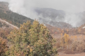 Bilecik’te orman yangını