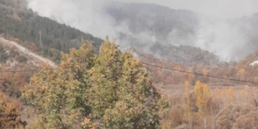 Bilecik’te orman yangını