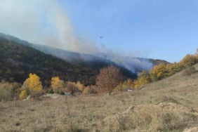 Bilecik’te orman yangınını söndürme çalışması sürüyor