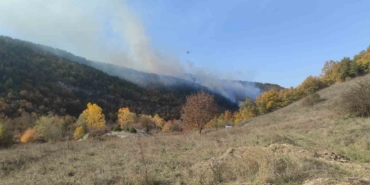 Bilecik’te orman yangınını söndürme çalışması sürüyor