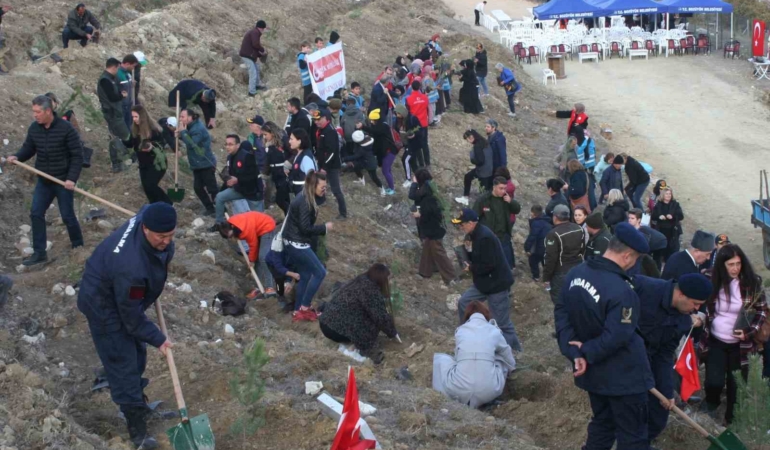 Bozüyük’te Şehitler Ormanı için 1111 adet fidan dikildi