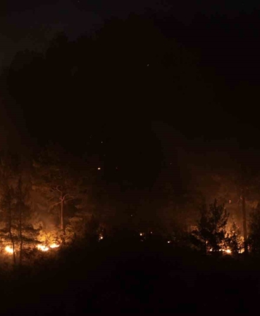 Bursa-Balıkesir il sınırındaki orman yangınına 8. saatinde müdahale devam ediyor