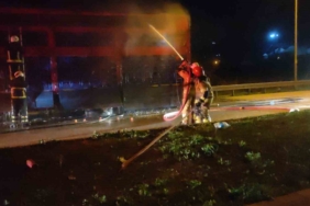 Bursa’da domates yüklü kamyon alevlere teslim oldu