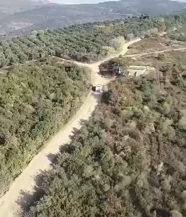 Bursa’da zeytin hırsızlarına dronlu denetim