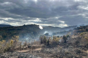 Çanakkale’deki yangında 2 hektarlık alan zarar gördü