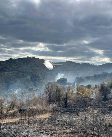 Çanakkale’deki yangında 2 hektarlık alan zarar gördü