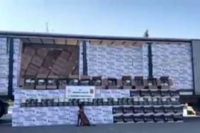 Değeri 15 milyon: Adana’dan, Sakarya’ya getirilirken yakalandı