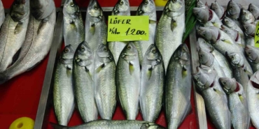 Denizlerin prensi ’lüfer’ 1200 liradan tezgahta