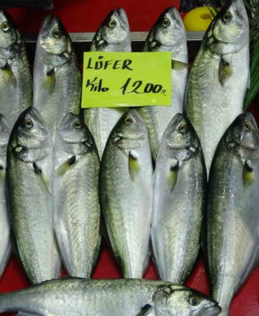 Denizlerin prensi ’lüfer’ 1200 liradan tezgahta